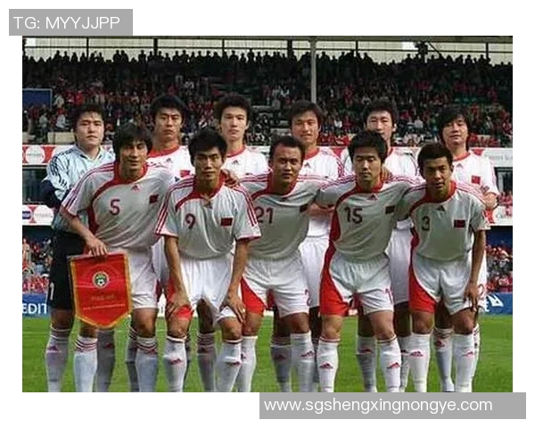 足球明星齐聚一堂动画合照展现球场魅力与友谊