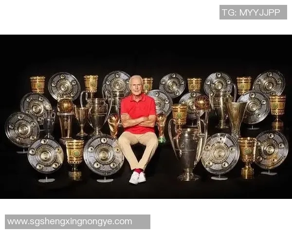 追忆绿茵传奇那些已经逝世的足球明星的辉煌与遗产