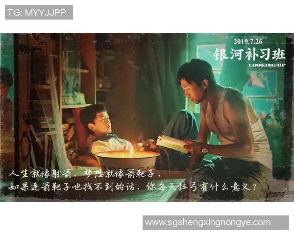 韩国足球明星的综艺人生与梦想追逐的小说旅程