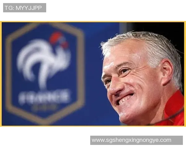 足球场上的传奇之路六号球星的辉煌与荣耀