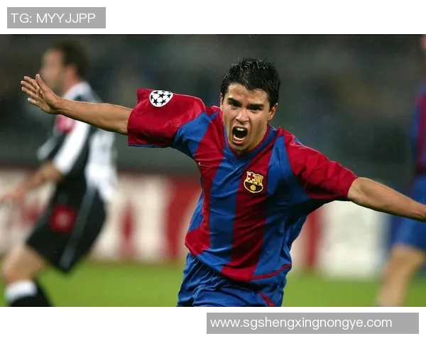 足球明星真实面貌大揭秘全球球星照片全集欣赏