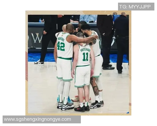 凯尔特人与猛龙第五场激战回顾球队表现与关键时刻分析