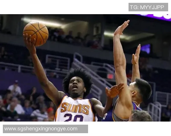 快船与掘金季前赛精彩对决视频直播全程回顾与分析