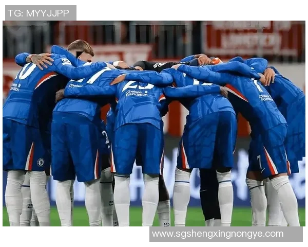 沃特福德与切尔西激战成平局双方表现引发热议