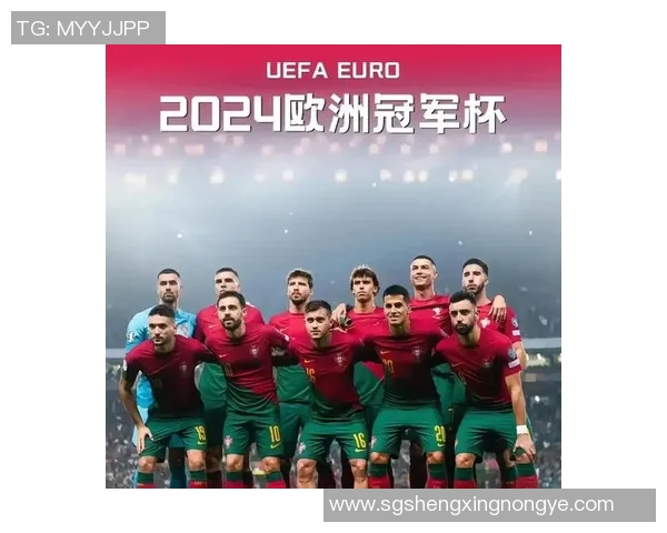 2024欧洲杯将在哪些国家举办及相关赛事信息详解