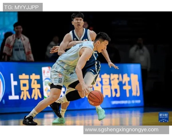 2017篮球明星赛精彩回顾与明星球员表现分析