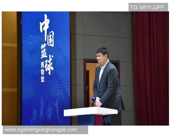 姚明篮球明星手办开箱体验分享揭秘背后的故事与细节