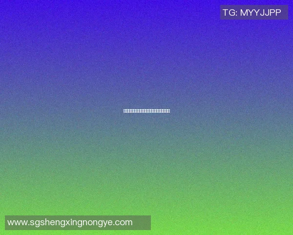 篮球明星崔冉的成长历程与辉煌成就全解析